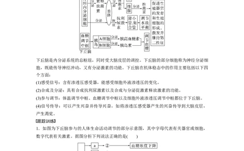 第8单元　微专题六　动物生命活动调节模型的构建和分析_2024年新高考资料_1.2024一轮复习_2024年高考生物一轮复习讲义（新人教版）_学生版在此文件夹_大一轮复习讲义