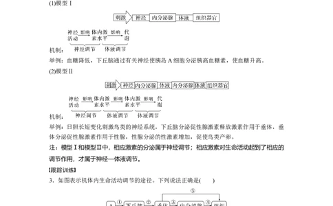 第8单元　微专题六　动物生命活动调节模型的构建和分析_2024年新高考资料_1.2024一轮复习_2024年高考生物一轮复习讲义（新人教版）_学生版在此文件夹_大一轮复习讲义