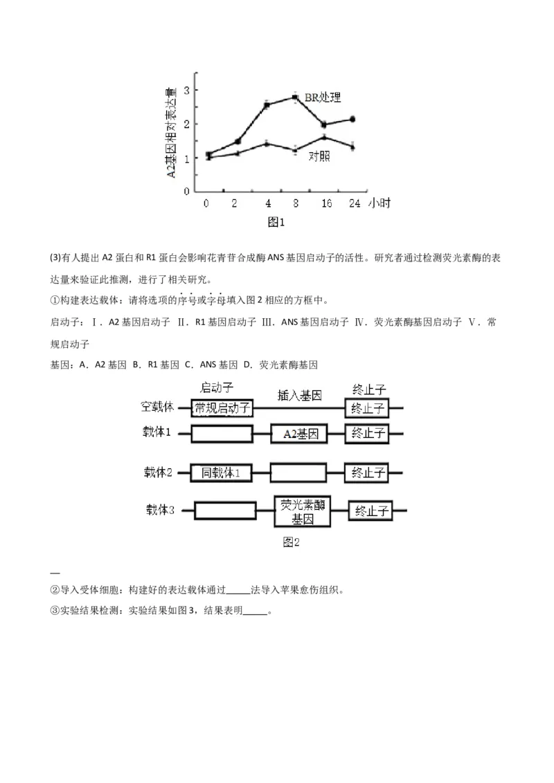 黄金卷02（考试版）-赢在高考&middot;黄金8卷备战2024年高考生物模拟卷（北京专用）_2024年新高考资料_4.2024高考模拟预测试卷