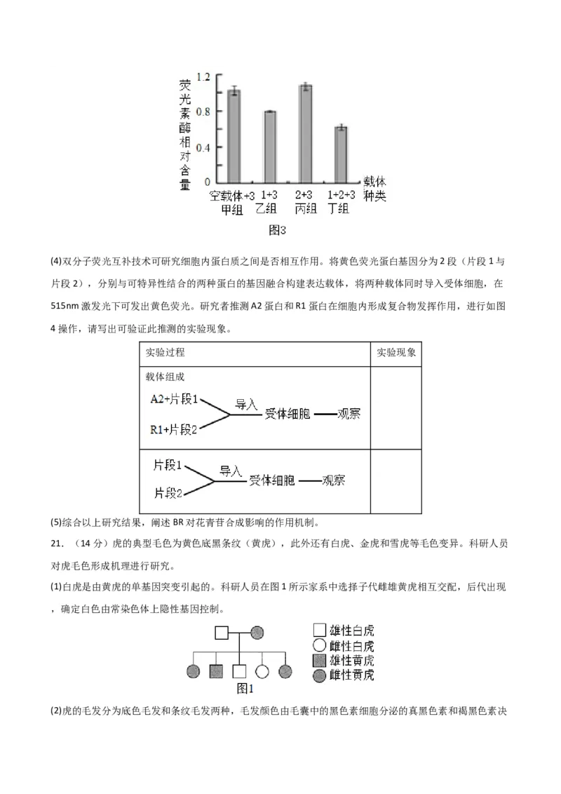 黄金卷02（考试版）-赢在高考&middot;黄金8卷备战2024年高考生物模拟卷（北京专用）_2024年新高考资料_4.2024高考模拟预测试卷