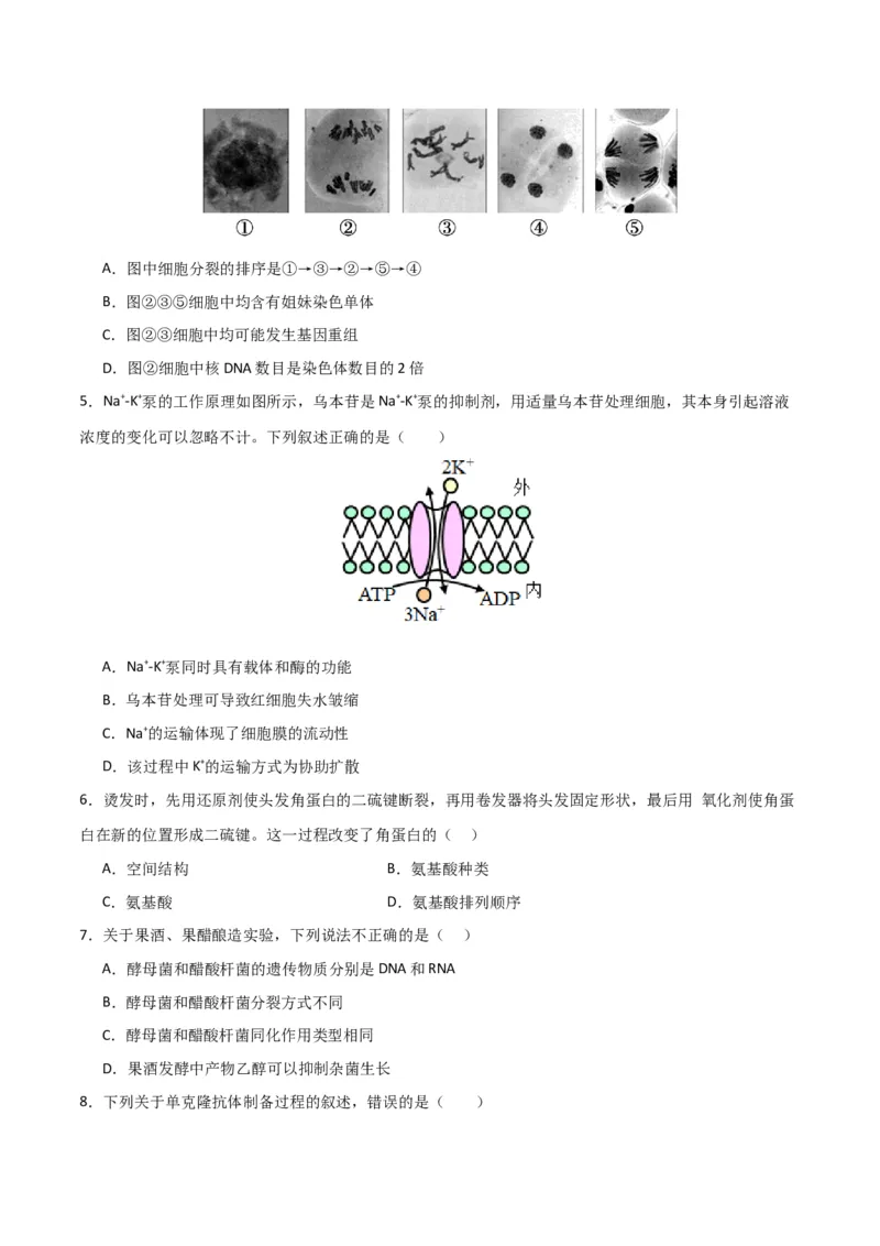 黄金卷02（考试版）-赢在高考&middot;黄金8卷备战2024年高考生物模拟卷（北京专用）_2024年新高考资料_4.2024高考模拟预测试卷