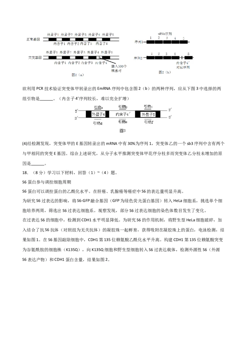 黄金卷02（考试版）-赢在高考&middot;黄金8卷备战2024年高考生物模拟卷（北京专用）_2024年新高考资料_4.2024高考模拟预测试卷