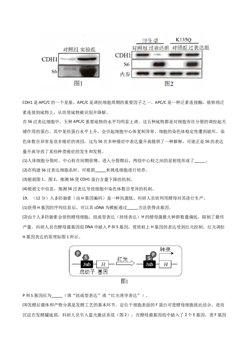 黄金卷02（考试版）-赢在高考&middot;黄金8卷备战2024年高考生物模拟卷（北京专用）_2024年新高考资料_4.2024高考模拟预测试卷