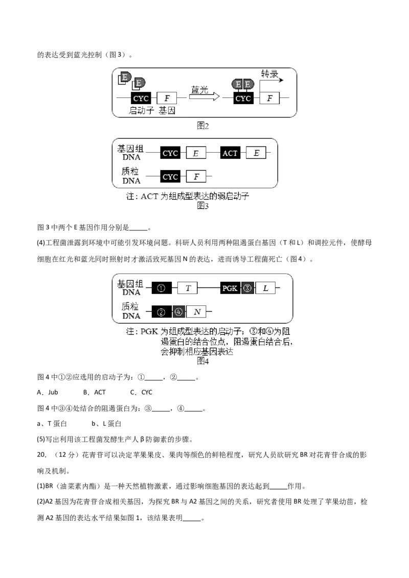 黄金卷02（考试版）-赢在高考&middot;黄金8卷备战2024年高考生物模拟卷（北京专用）_2024年新高考资料_4.2024高考模拟预测试卷