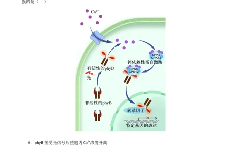 黄金卷02（考试版）-赢在高考&middot;黄金8卷备战2024年高考生物模拟卷（北京专用）_2024年新高考资料_4.2024高考模拟预测试卷