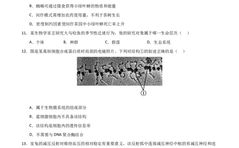 黄金卷02（考试版）-赢在高考&middot;黄金8卷备战2024年高考生物模拟卷（北京专用）_2024年新高考资料_4.2024高考模拟预测试卷