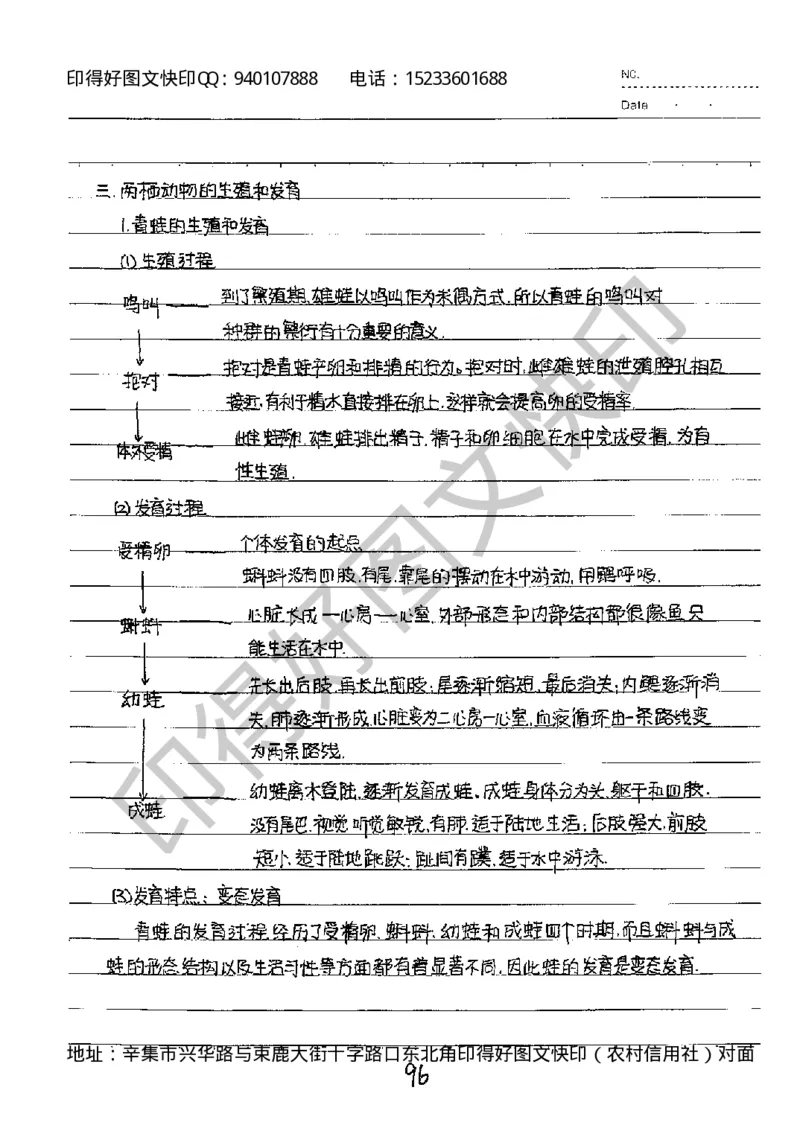 中考状元笔记英语_初中资料