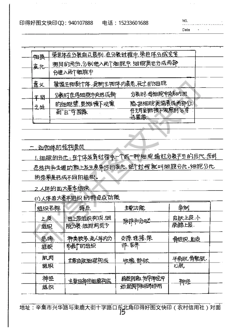 中考状元笔记英语_初中资料