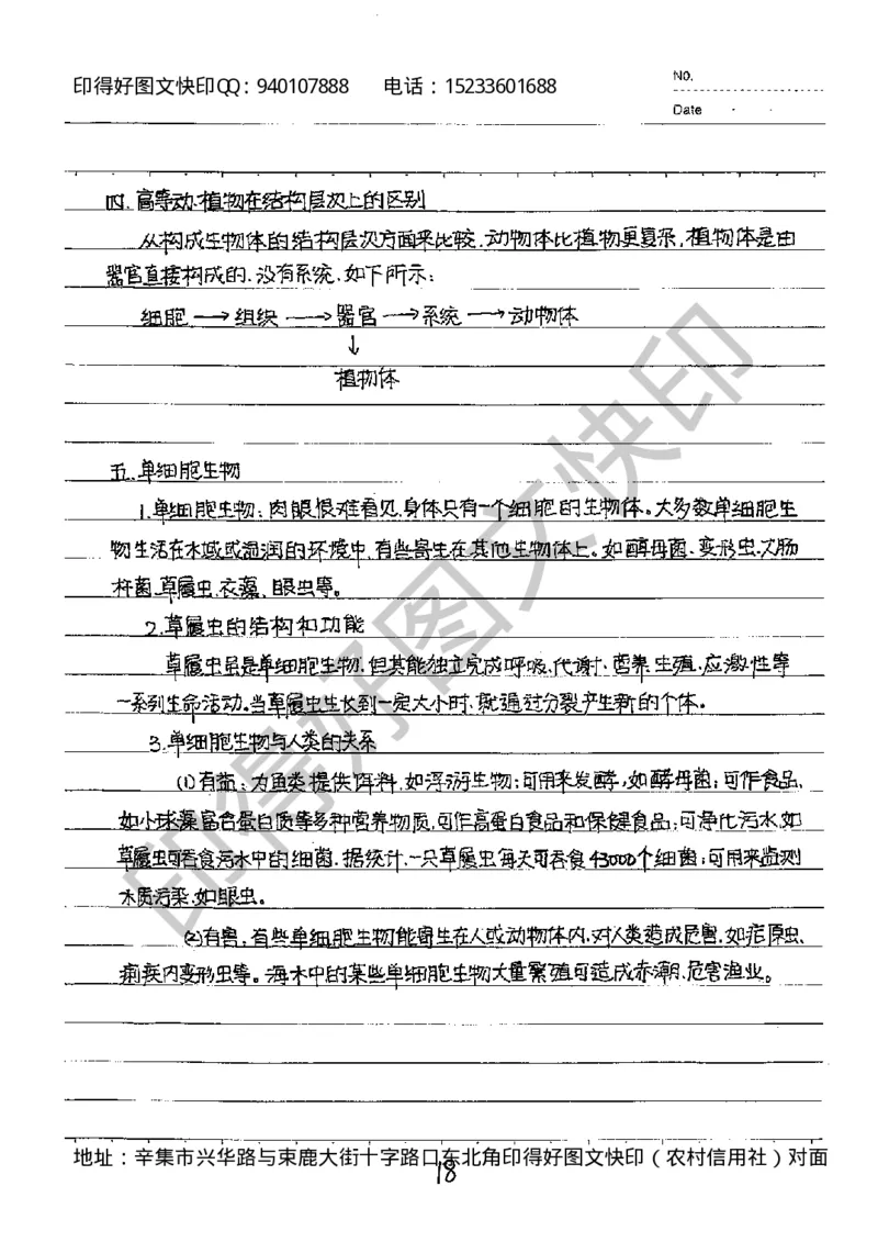 中考状元笔记英语_初中资料