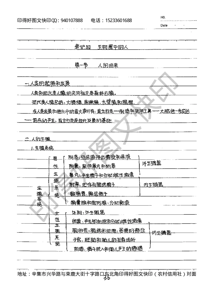 中考状元笔记英语_初中资料