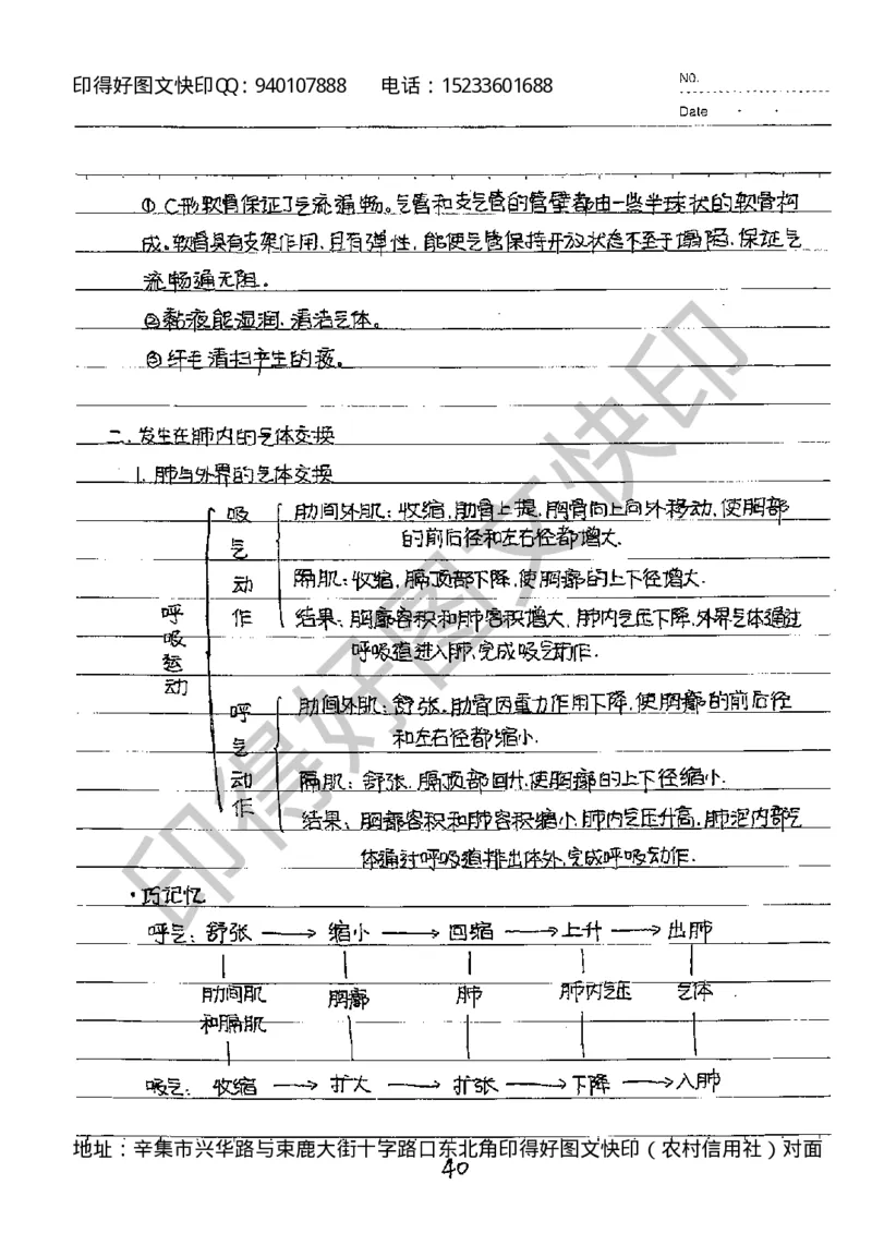 中考状元笔记英语_初中资料