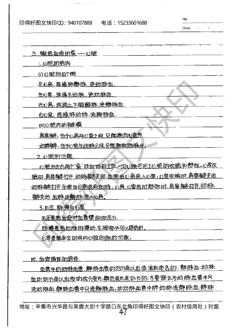 中考状元笔记英语_初中资料