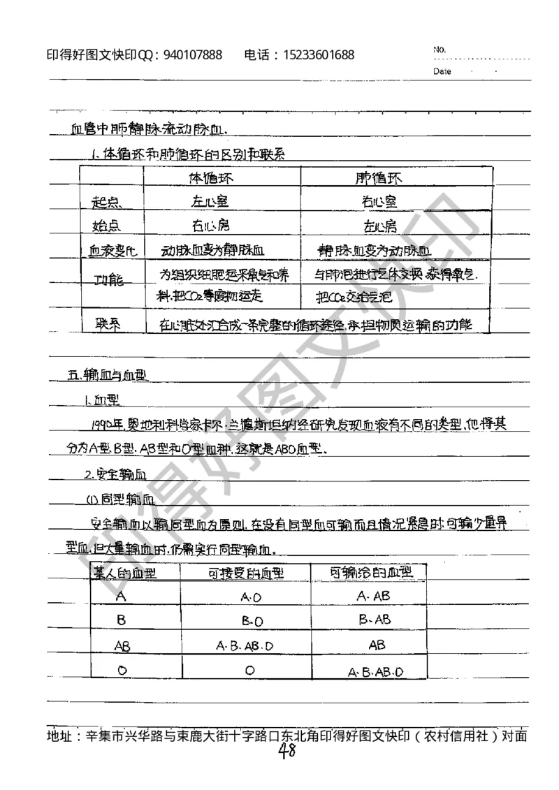 中考状元笔记英语_初中资料