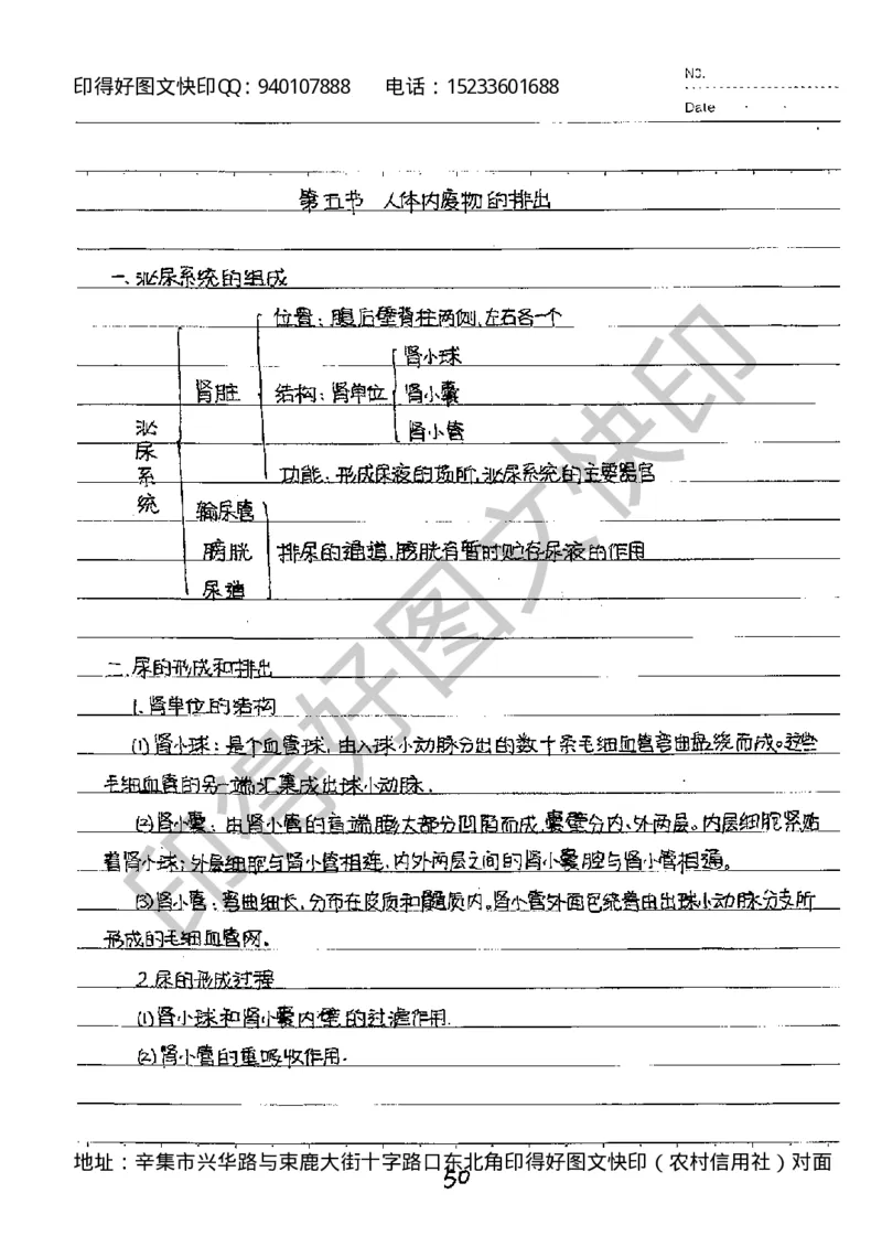 中考状元笔记英语_初中资料