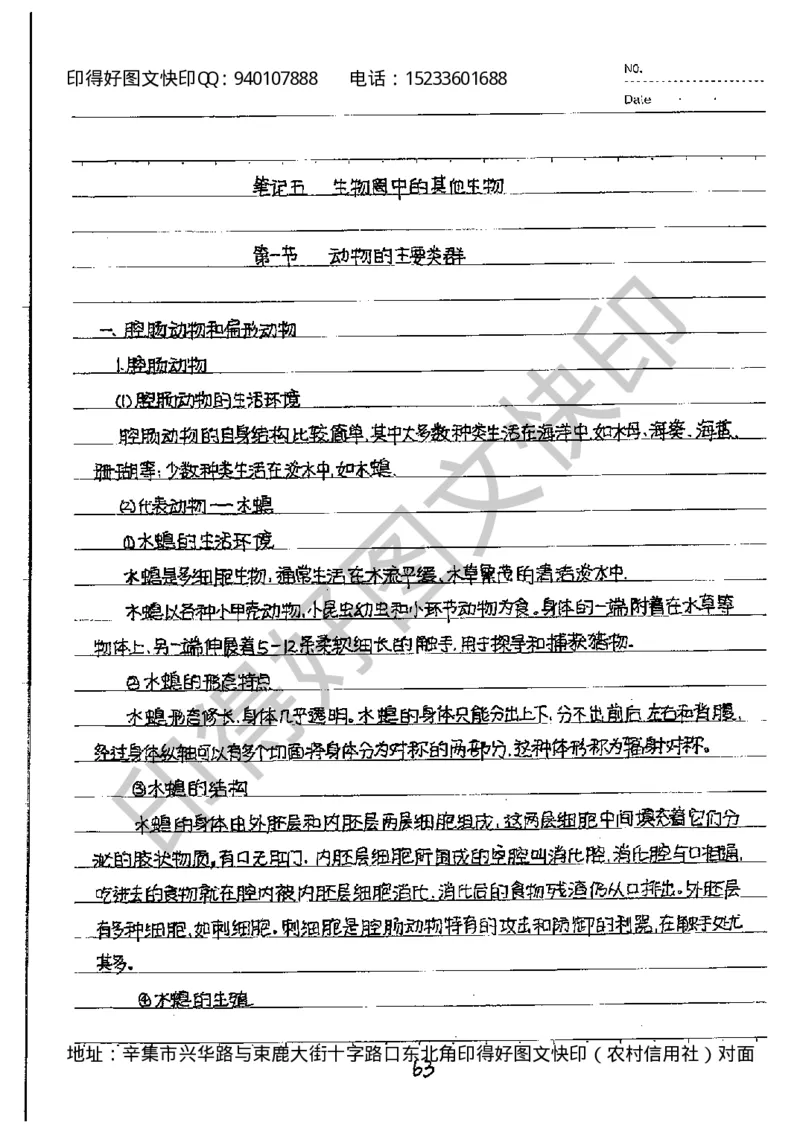 中考状元笔记英语_初中资料