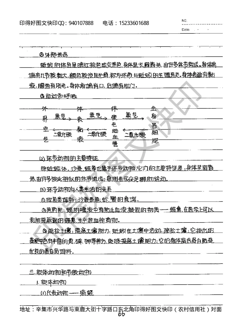 中考状元笔记英语_初中资料