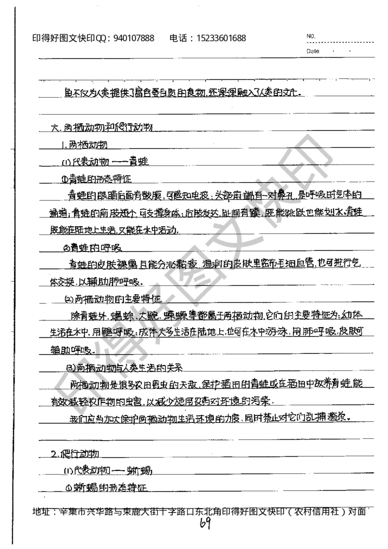 中考状元笔记英语_初中资料