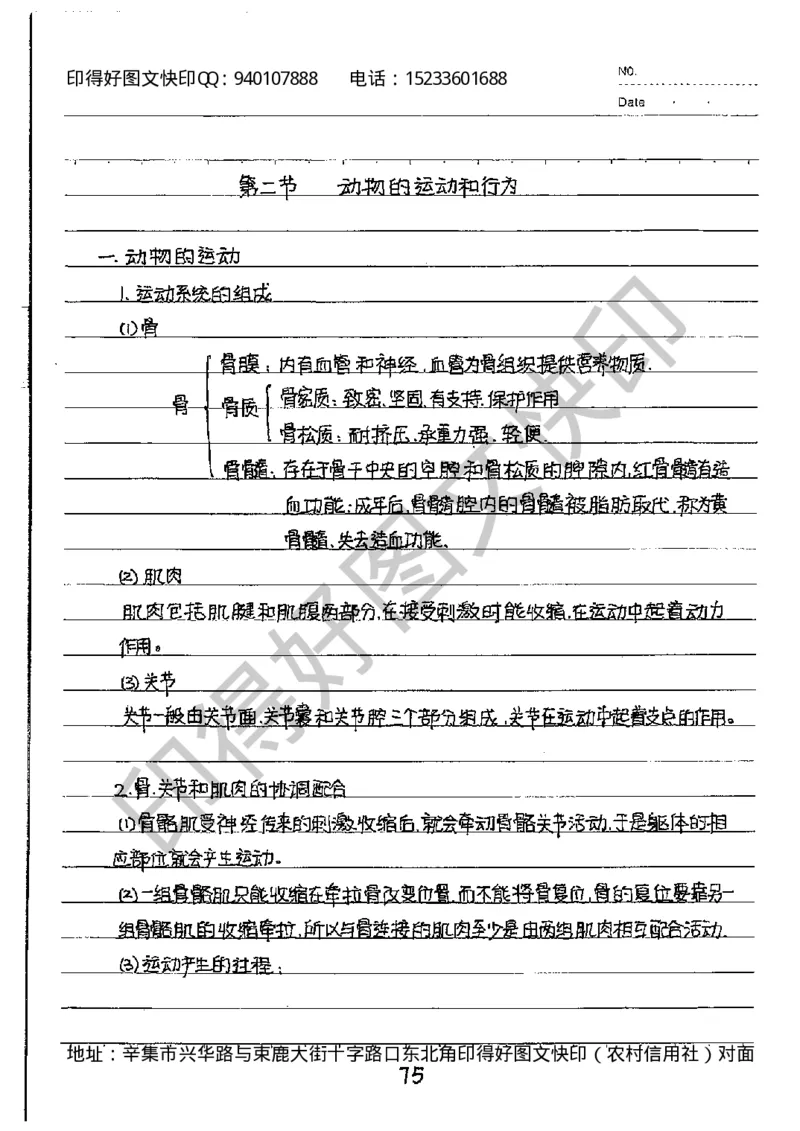 中考状元笔记英语_初中资料