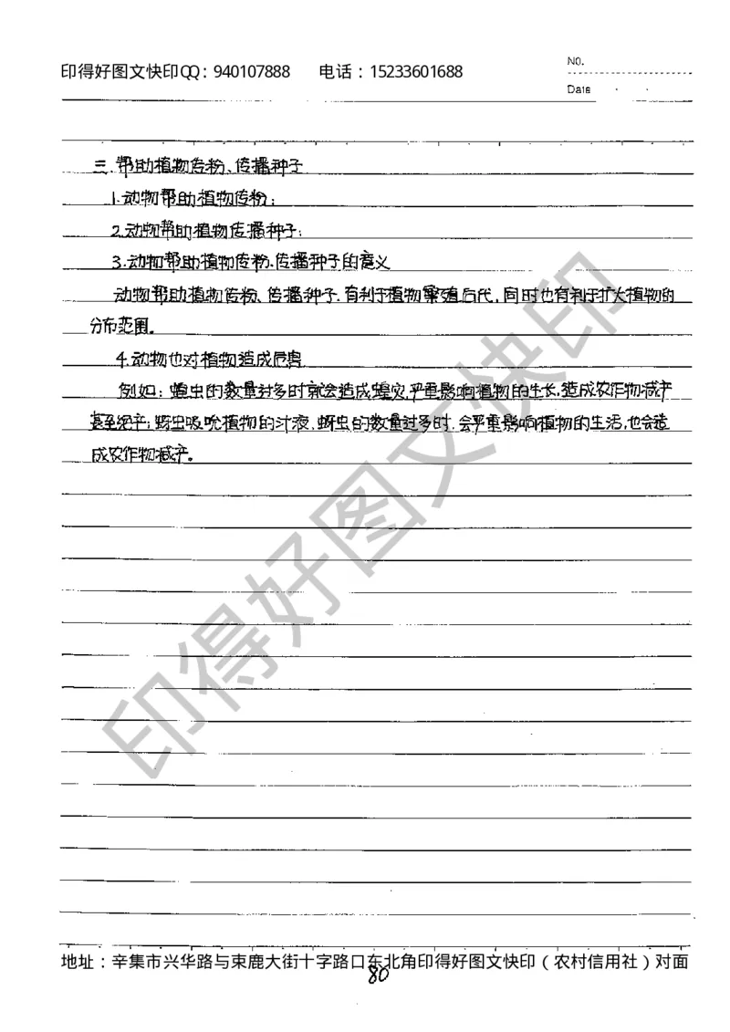 中考状元笔记英语_初中资料