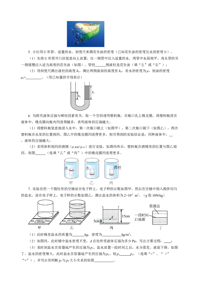 专题06密度压强（讲练）原卷版_8、物理总复习_8.中考物理总复习_2024年中考复习资料_二轮复习资料_完2024年中考物理二轮复习课件+讲义+练习（全国通用）_模块二（力学）
