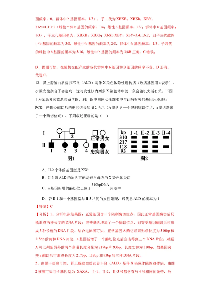 第五单元基因的传递规律（测试卷）（解析版)_2024年新高考资料_3.2024专项复习_备战2024年高考生物一轮复习重难点专项突破