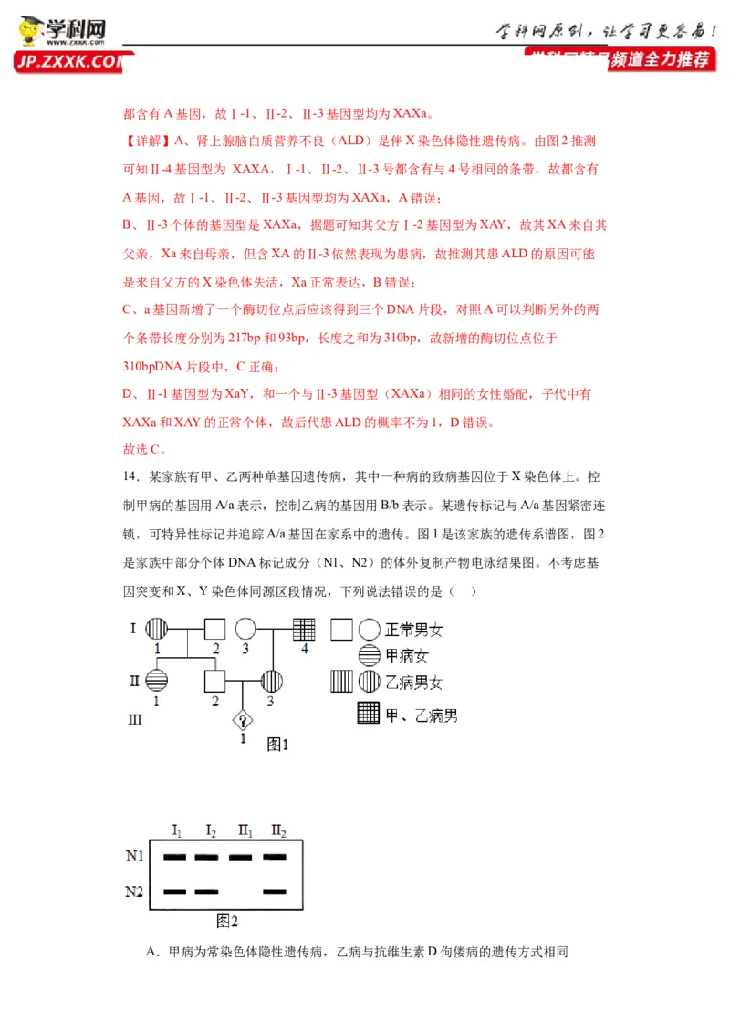 第五单元基因的传递规律（测试卷）（解析版)_2024年新高考资料_3.2024专项复习_备战2024年高考生物一轮复习重难点专项突破