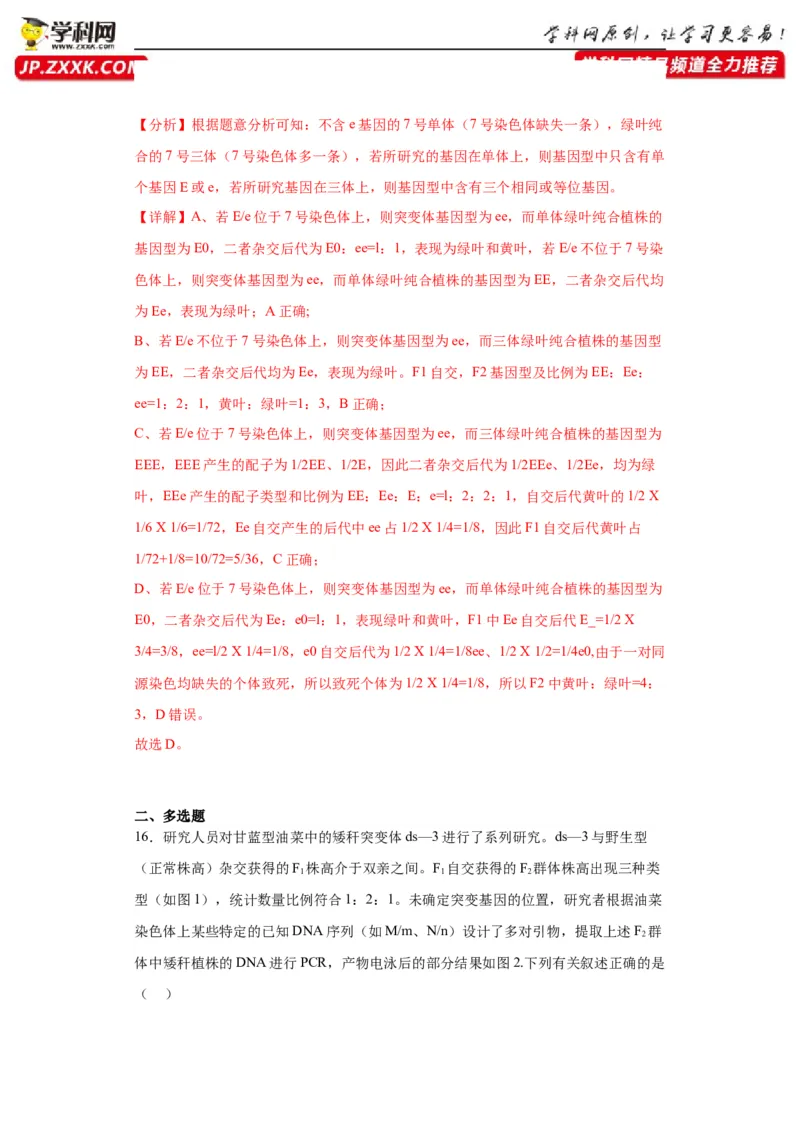 第五单元基因的传递规律（测试卷）（解析版)_2024年新高考资料_3.2024专项复习_备战2024年高考生物一轮复习重难点专项突破