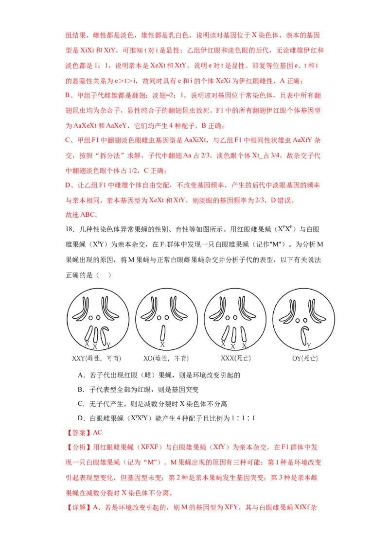 第五单元基因的传递规律（测试卷）（解析版)_2024年新高考资料_3.2024专项复习_备战2024年高考生物一轮复习重难点专项突破