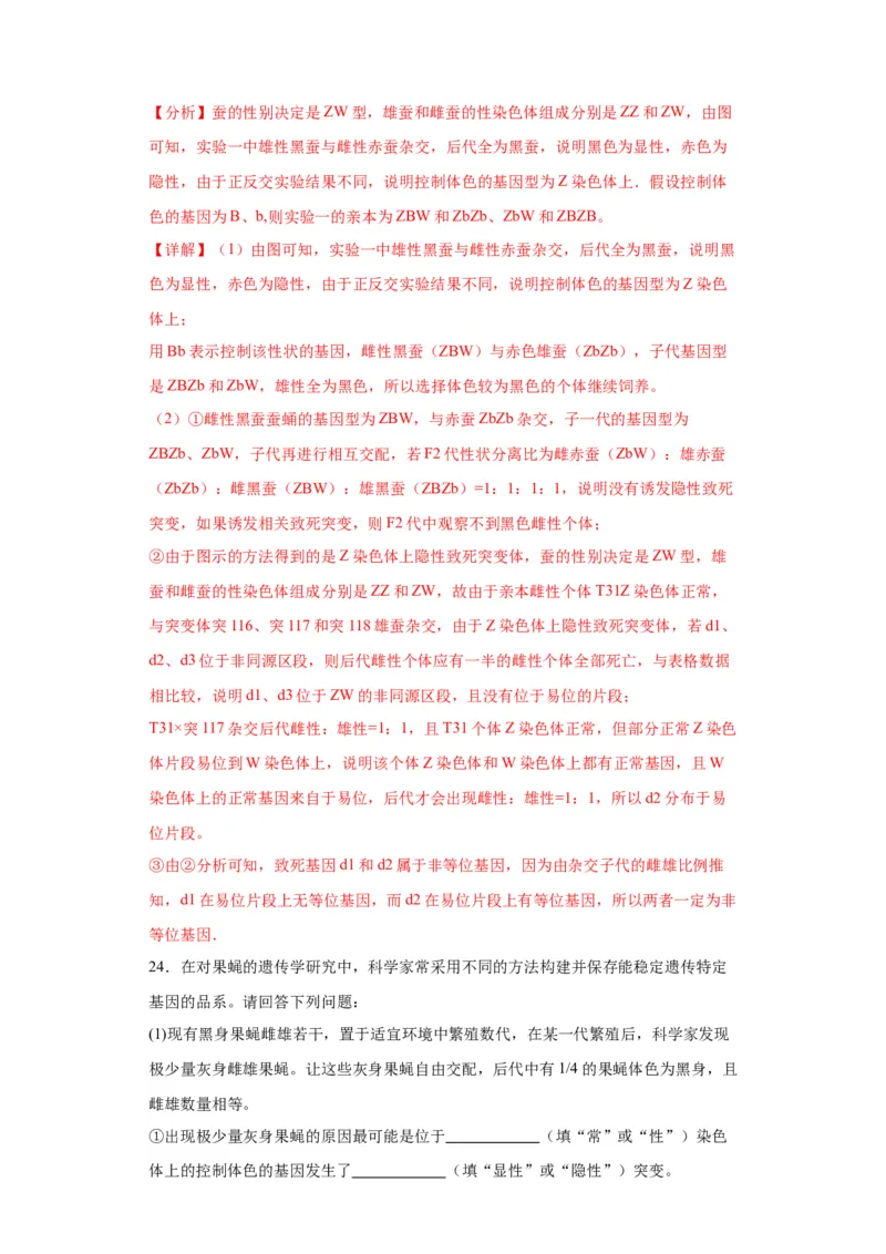 第五单元基因的传递规律（测试卷）（解析版)_2024年新高考资料_3.2024专项复习_备战2024年高考生物一轮复习重难点专项突破