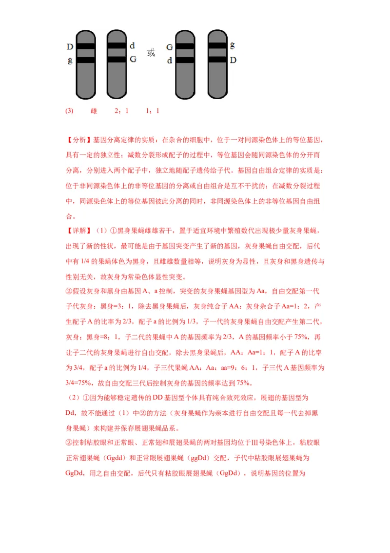 第五单元基因的传递规律（测试卷）（解析版)_2024年新高考资料_3.2024专项复习_备战2024年高考生物一轮复习重难点专项突破
