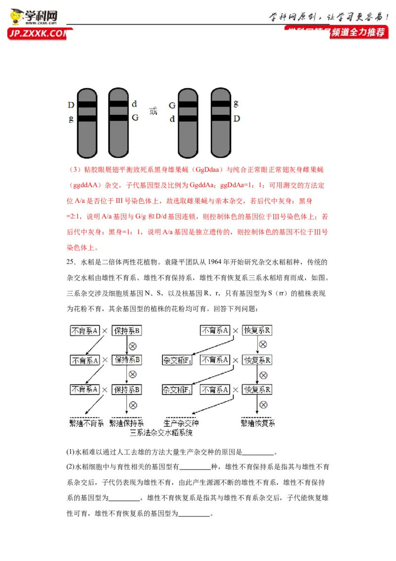 第五单元基因的传递规律（测试卷）（解析版)_2024年新高考资料_3.2024专项复习_备战2024年高考生物一轮复习重难点专项突破