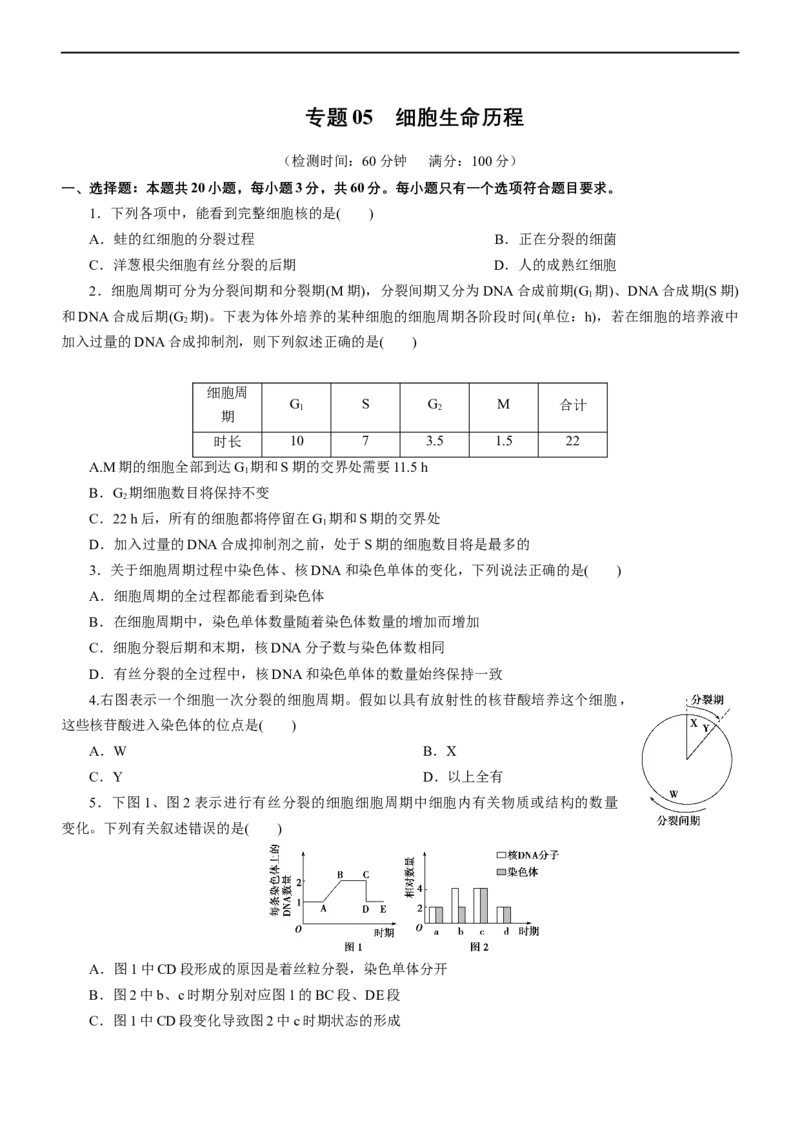 专题05细胞的生命历程（测试卷）-2023年高考生物二轮复习讲练测（全国通用）（原卷版）_通用版（老高考）复习资料_2023年复习资料_二轮复习_2023年高考生物二轮复习讲练测（全国通用）