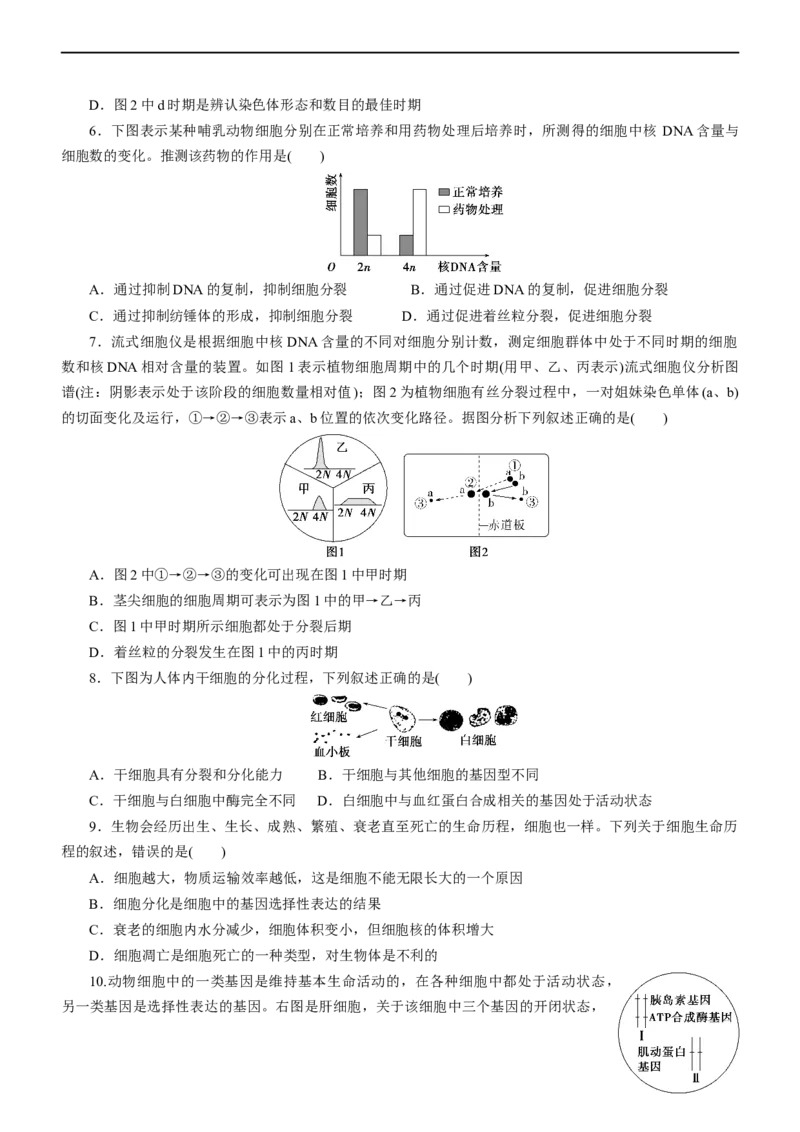 专题05细胞的生命历程（测试卷）-2023年高考生物二轮复习讲练测（全国通用）（原卷版）_通用版（老高考）复习资料_2023年复习资料_二轮复习_2023年高考生物二轮复习讲练测（全国通用）