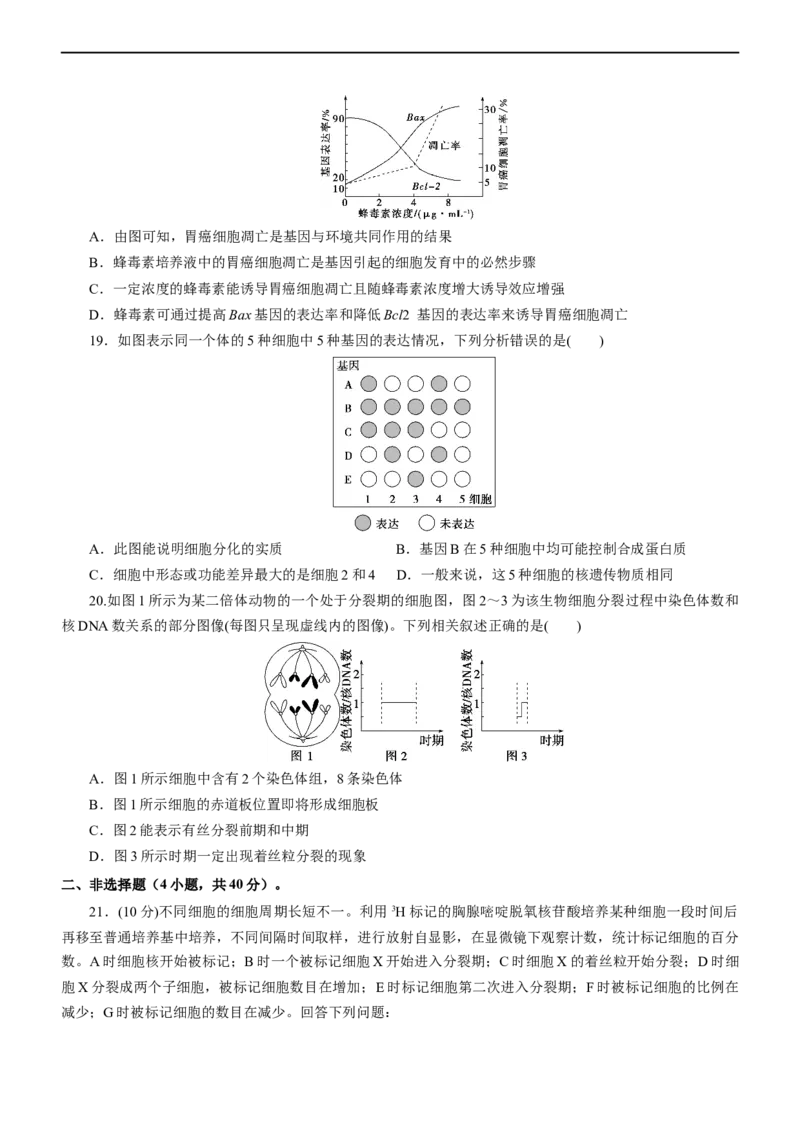 专题05细胞的生命历程（测试卷）-2023年高考生物二轮复习讲练测（全国通用）（原卷版）_通用版（老高考）复习资料_2023年复习资料_二轮复习_2023年高考生物二轮复习讲练测（全国通用）