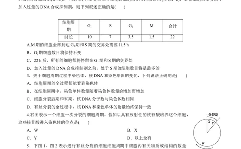 专题05细胞的生命历程（测试卷）-2023年高考生物二轮复习讲练测（全国通用）（原卷版）_通用版（老高考）复习资料_2023年复习资料_二轮复习_2023年高考生物二轮复习讲练测（全国通用）