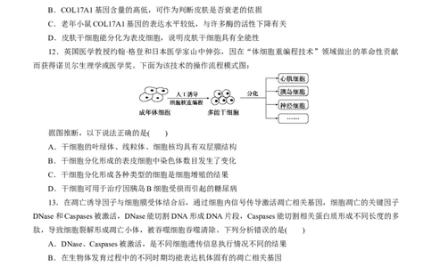 专题05细胞的生命历程（测试卷）-2023年高考生物二轮复习讲练测（全国通用）（原卷版）_通用版（老高考）复习资料_2023年复习资料_二轮复习_2023年高考生物二轮复习讲练测（全国通用）