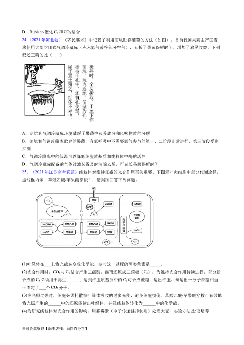 专题05细胞呼吸与光合作用-学易金卷：五年（2019-2023）高考生物真题分项汇编（全国通用）（原卷版）_通用版（老高考）复习资料_2024年复习资料