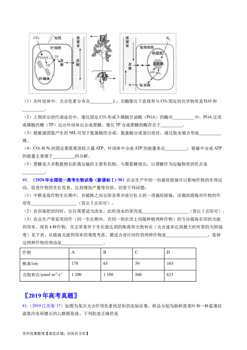 专题05细胞呼吸与光合作用-学易金卷：五年（2019-2023）高考生物真题分项汇编（全国通用）（原卷版）_通用版（老高考）复习资料_2024年复习资料