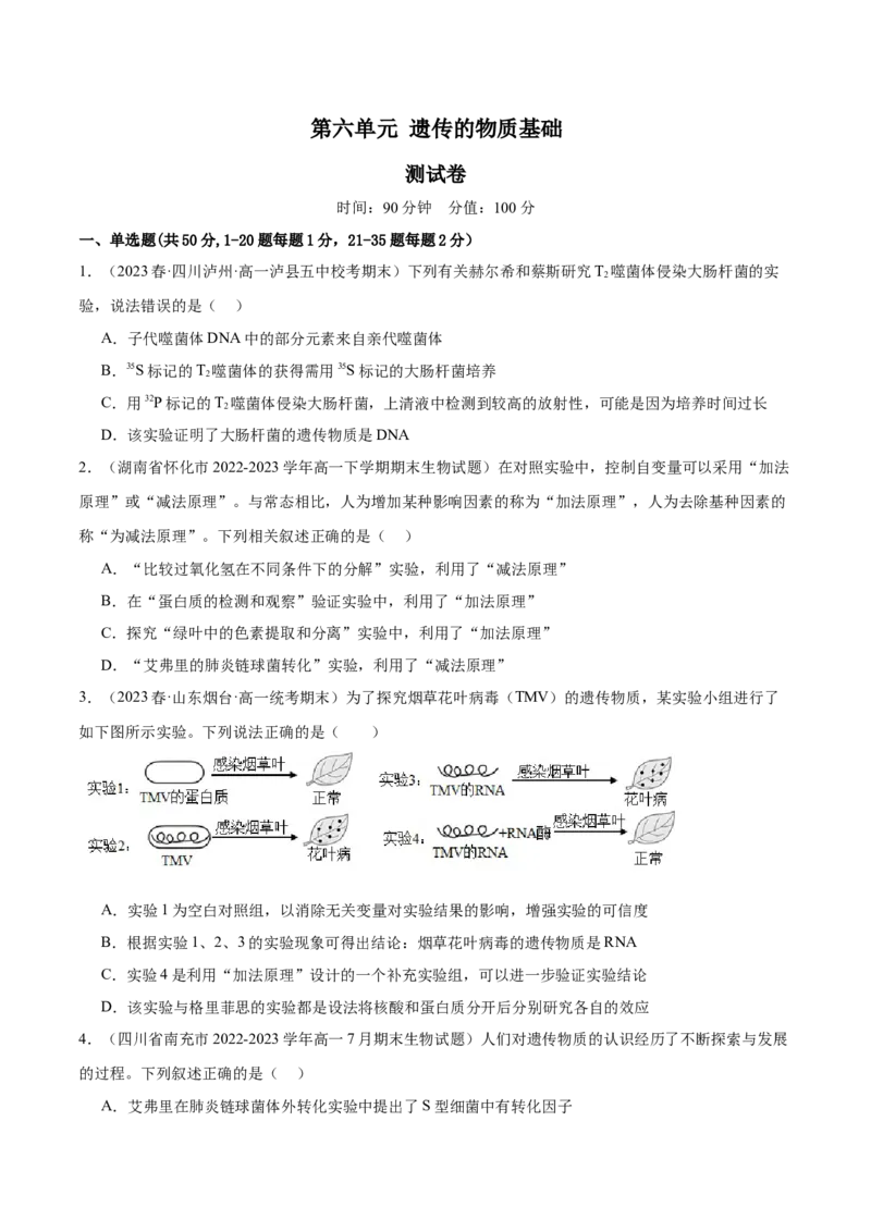 第六单元遗传的物质基础（测试）（原卷版）_2024年新高考资料_1.2024一轮复习_2024年高考生物一轮复习讲练测（新教材新高考）