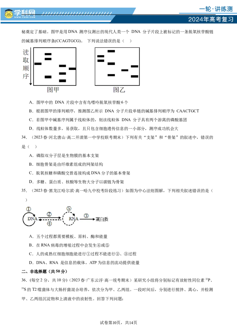 第六单元遗传的物质基础（测试）（原卷版）_2024年新高考资料_1.2024一轮复习_2024年高考生物一轮复习讲练测（新教材新高考）