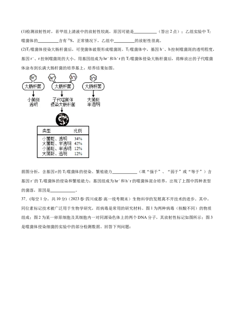 第六单元遗传的物质基础（测试）（原卷版）_2024年新高考资料_1.2024一轮复习_2024年高考生物一轮复习讲练测（新教材新高考）