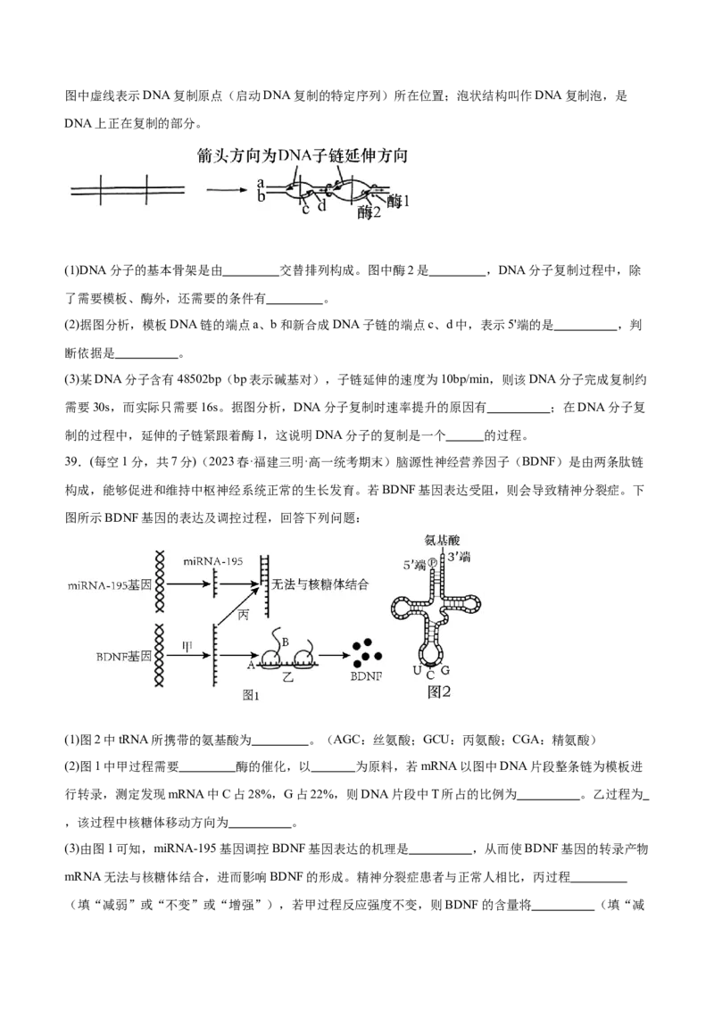 第六单元遗传的物质基础（测试）（原卷版）_2024年新高考资料_1.2024一轮复习_2024年高考生物一轮复习讲练测（新教材新高考）