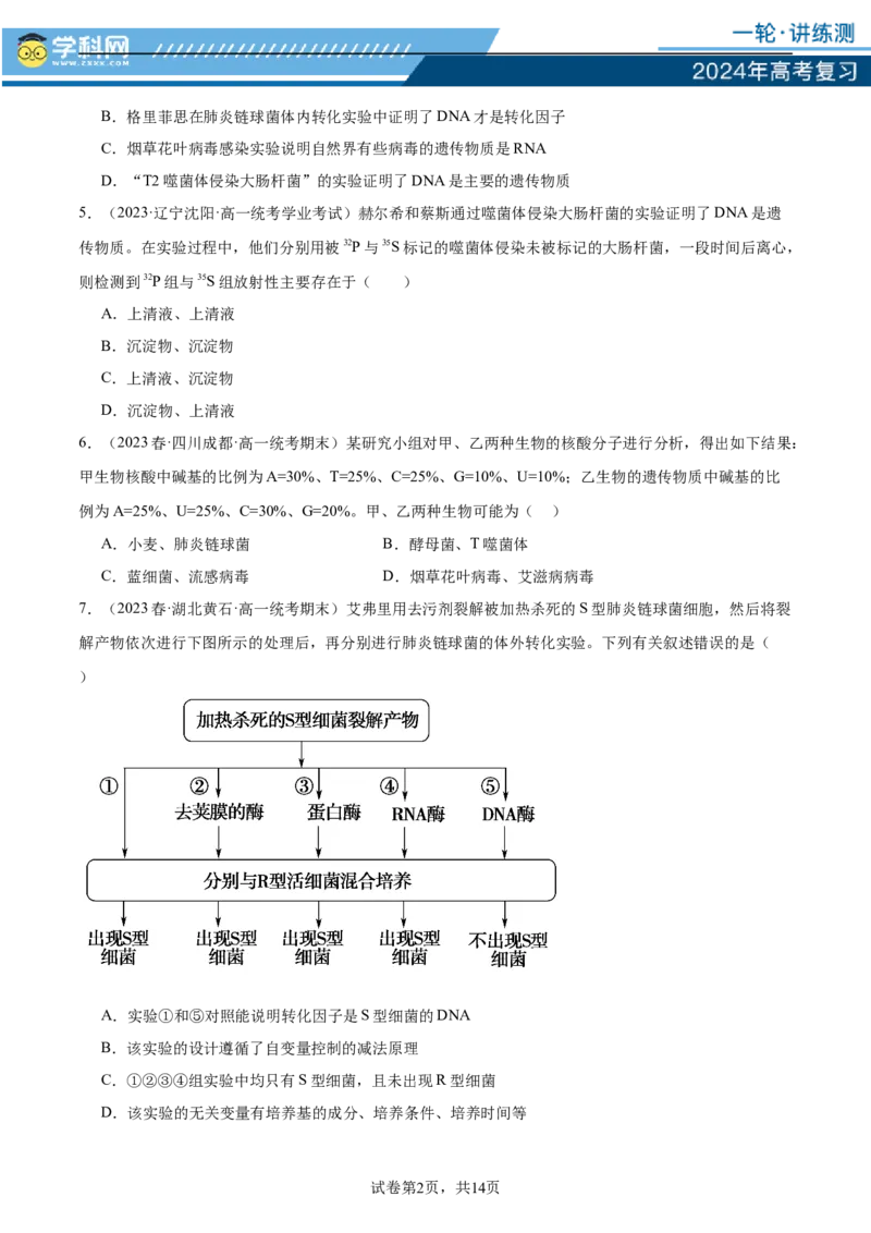 第六单元遗传的物质基础（测试）（原卷版）_2024年新高考资料_1.2024一轮复习_2024年高考生物一轮复习讲练测（新教材新高考）