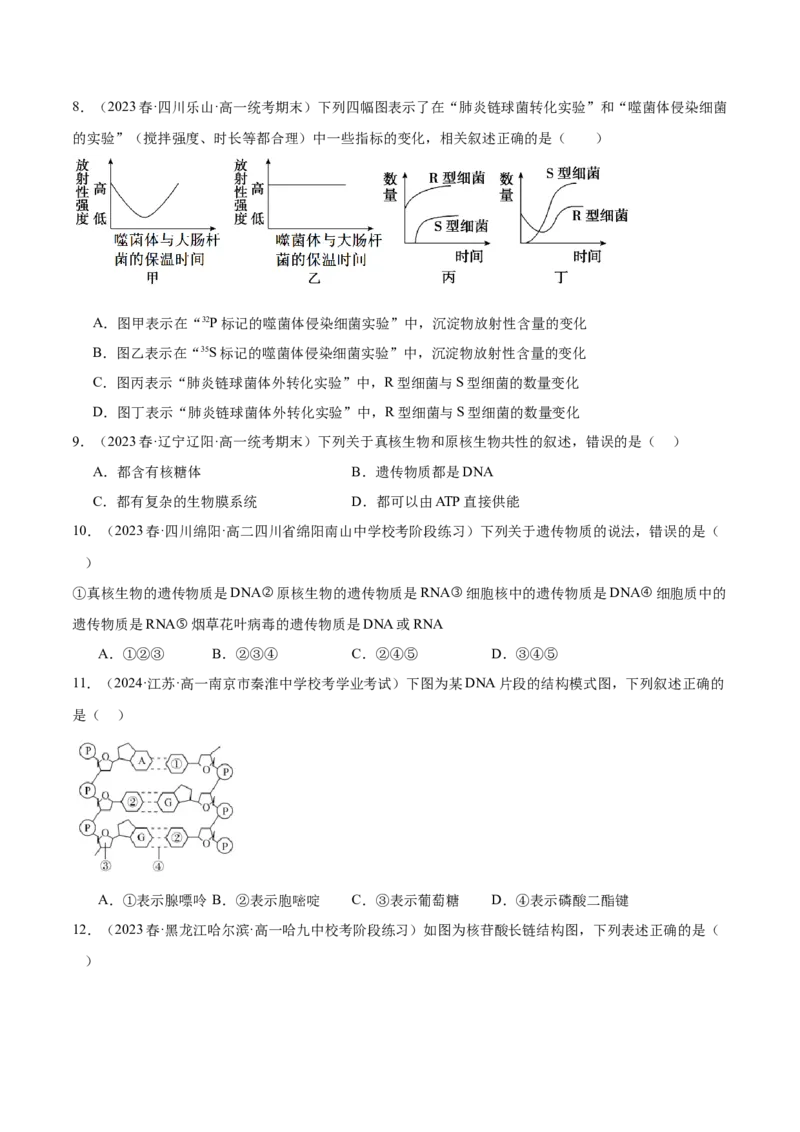 第六单元遗传的物质基础（测试）（原卷版）_2024年新高考资料_1.2024一轮复习_2024年高考生物一轮复习讲练测（新教材新高考）