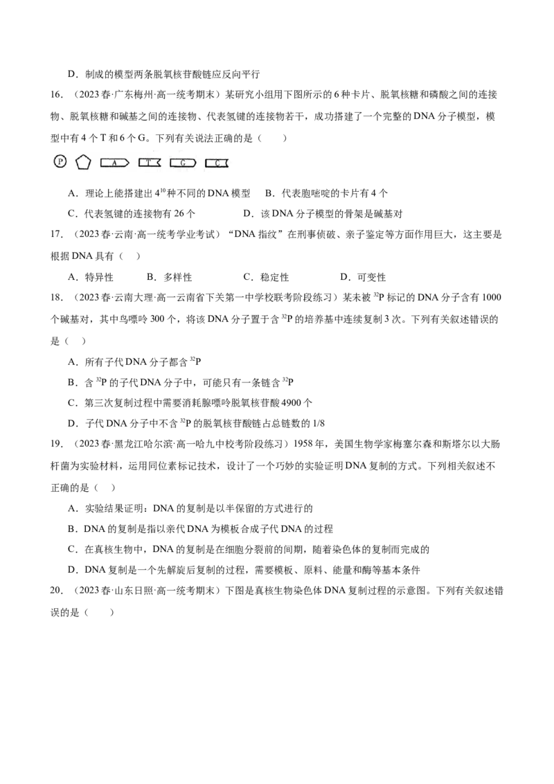 第六单元遗传的物质基础（测试）（原卷版）_2024年新高考资料_1.2024一轮复习_2024年高考生物一轮复习讲练测（新教材新高考）