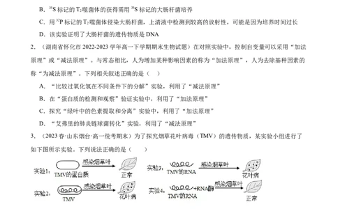 第六单元遗传的物质基础（测试）（原卷版）_2024年新高考资料_1.2024一轮复习_2024年高考生物一轮复习讲练测（新教材新高考）