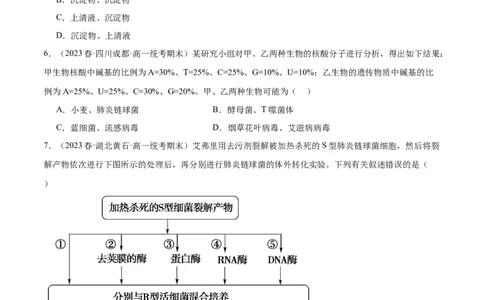 第六单元遗传的物质基础（测试）（原卷版）_2024年新高考资料_1.2024一轮复习_2024年高考生物一轮复习讲练测（新教材新高考）