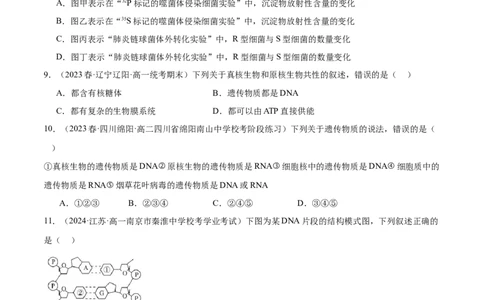 第六单元遗传的物质基础（测试）（原卷版）_2024年新高考资料_1.2024一轮复习_2024年高考生物一轮复习讲练测（新教材新高考）