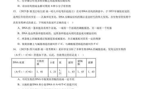 第六单元遗传的物质基础（测试）（原卷版）_2024年新高考资料_1.2024一轮复习_2024年高考生物一轮复习讲练测（新教材新高考）
