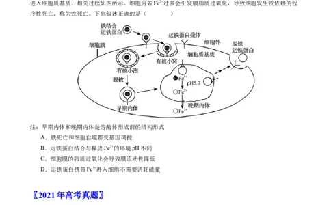 专题07细胞得分化、衰老、凋亡及癌变-学易金卷：五年（2019-2023）高考生物真题分项汇编（全国通用）（原卷版）_通用版（老高考）复习资料_2024年复习资料